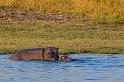 064 Botswana, Chobe NP